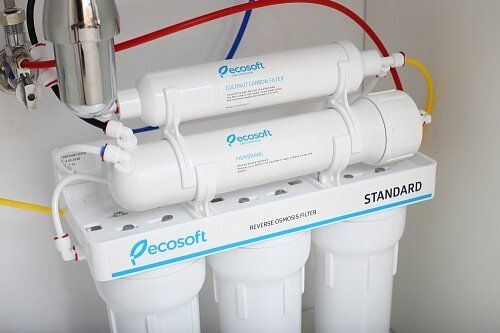 Фильтр обратного осмоса Ecosoft Standard 550